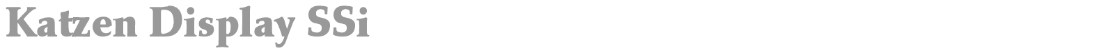 Katzen Display SSi font preview