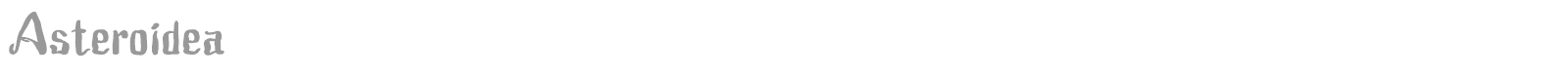 Asteroidea font preview