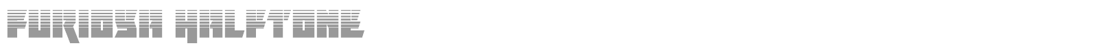Furiosa font preview