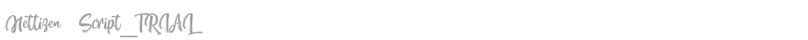 Nettizen font preview