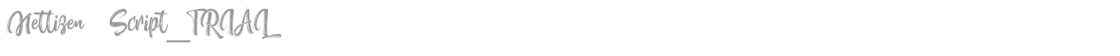 Nettizen font preview