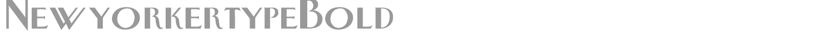 NewyorkertypeBold font preview