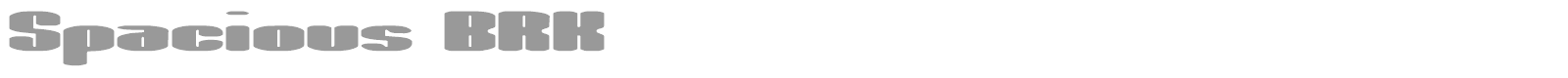 Spacious font preview