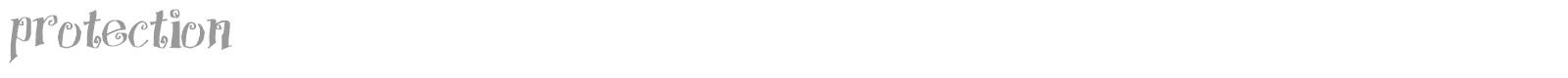 Protection font preview