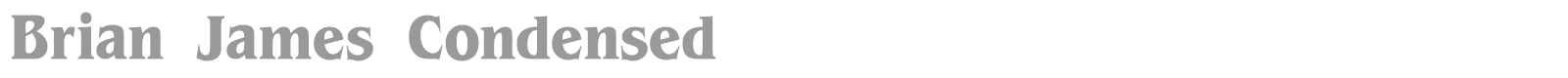 Brian James font preview