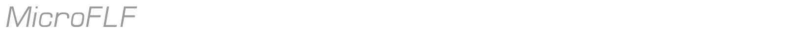 Micro font preview