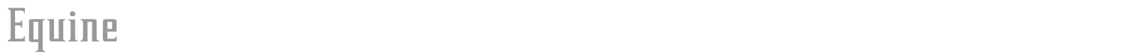 Equine font preview