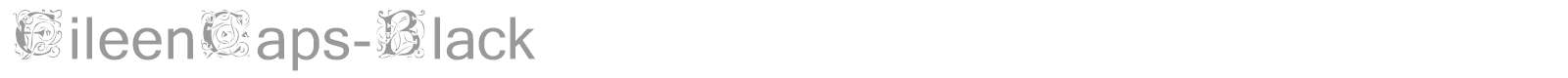 Eileen font preview