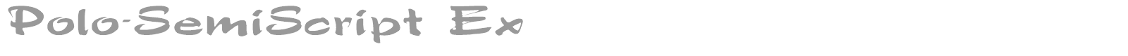 Polo Semi Script font preview