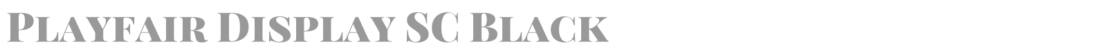 Playfair Display font preview