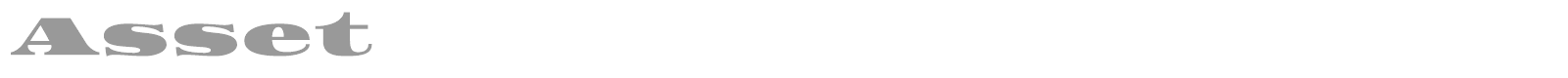 Asset font preview