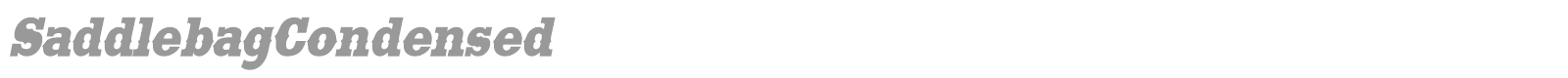 SaddlebagCondensed font preview