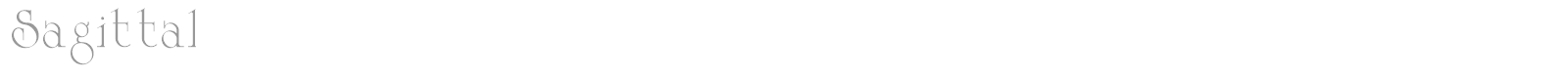 Sagittal font preview