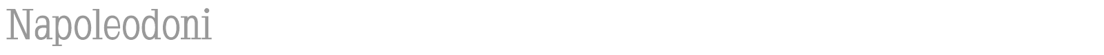 Napoleodoni font preview