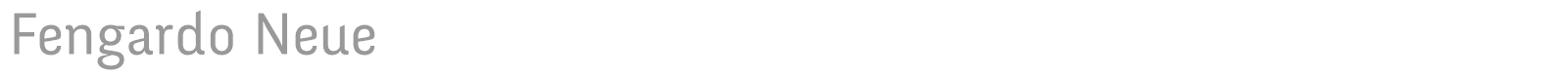 Fengardo Neue font preview