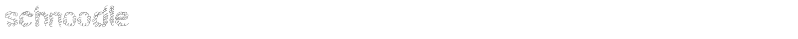 Schnoodle font preview