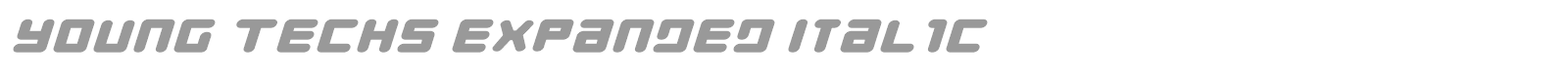 Young Techs Expanded Italic font preview