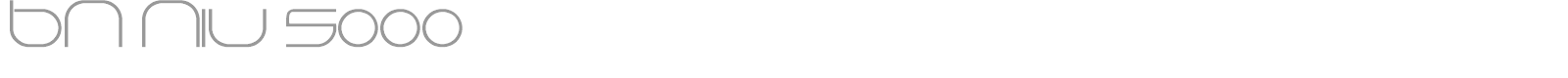 BN Niv5000 font preview