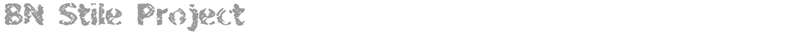 BN Stile Project font preview