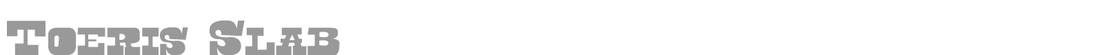 Toeris Slab font preview