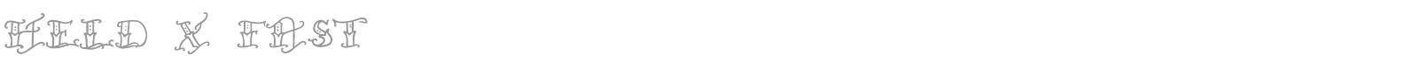 Held X Fast font preview