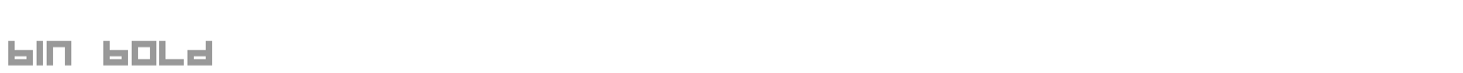 BIN Bold font preview