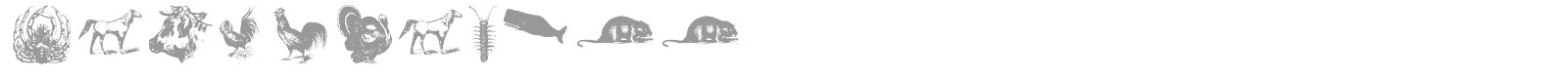OldstyleZoo font preview