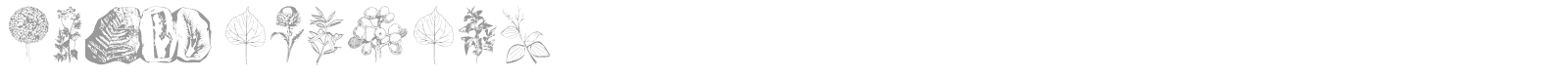 Botanicals font preview
