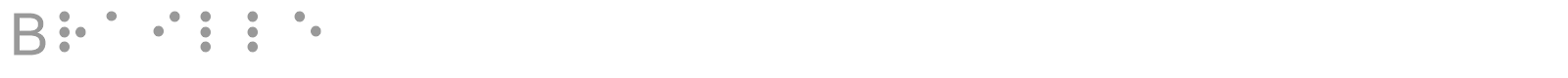 Braille font preview