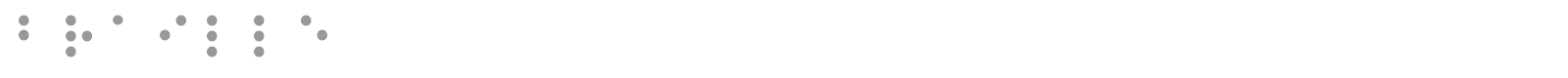 Braille font preview