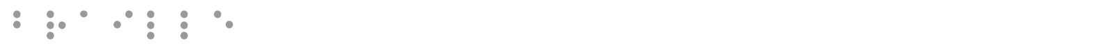 Braille font preview