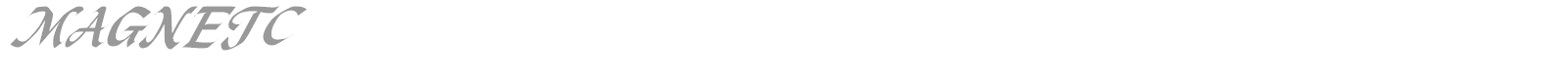 MAGNETC font preview