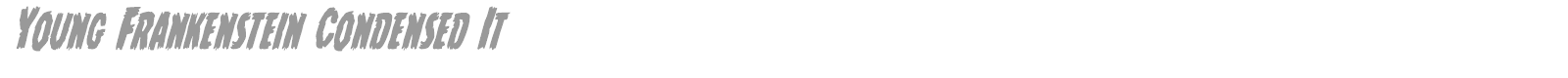 Young Frankenstein Condensed Italic font preview