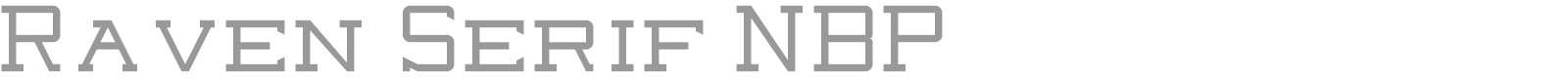 Raven Sans NBP font preview