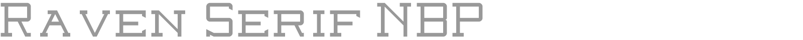 Raven Serif NBP font preview