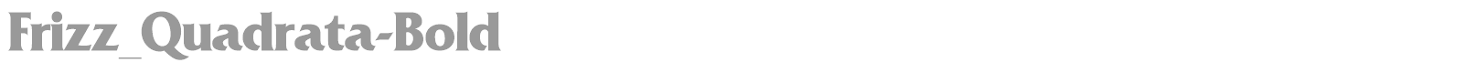 Frizz_Quadrata-Bold font preview