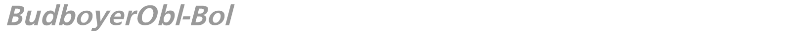 BudboyerObl-Bol font preview