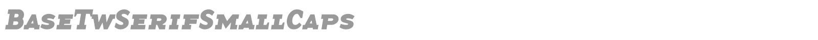 BaseTwSerifSmallCaps font preview