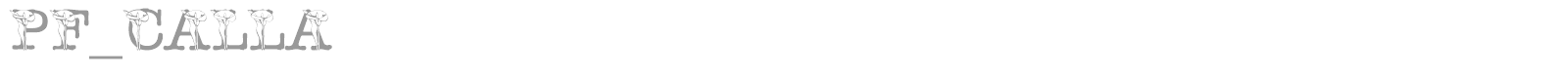 pf_calla font preview