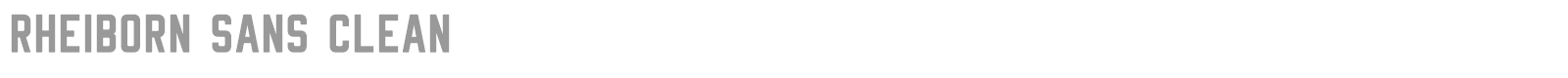 Rheiborn Sans font preview