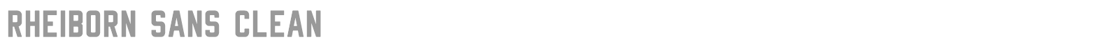 Rheiborn Sans font preview