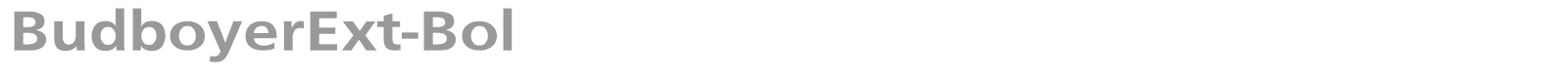 BudboyerExt-Bol font preview