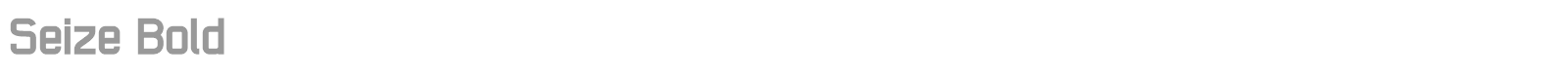 Seize Bold font preview