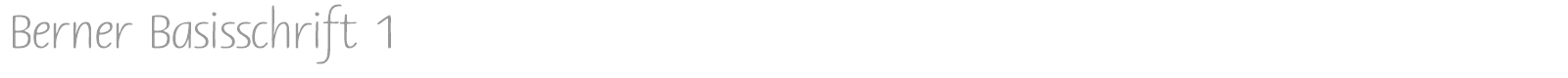 Berner Basisschrift font preview