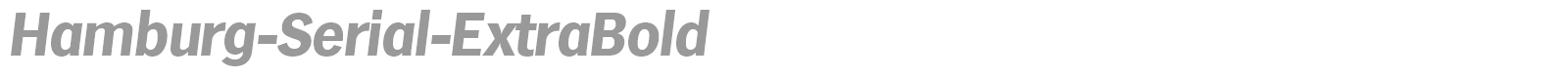 Hamburg-Serial-ExtraBold font preview