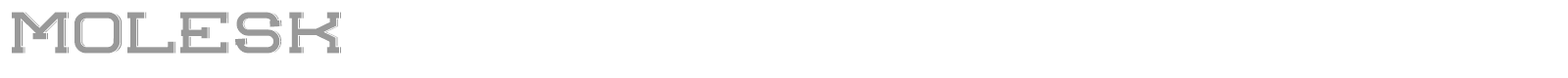 molesk font preview