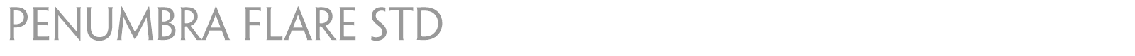 Penumbra Flare Std font preview