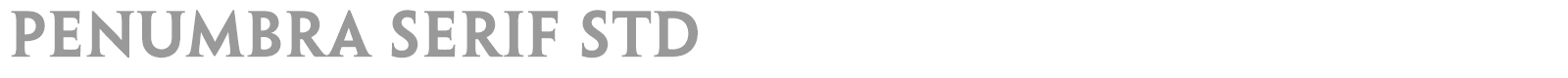 Penumbra Serif Std font preview