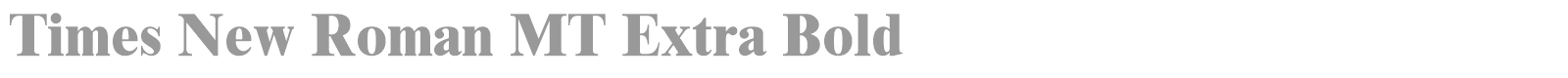Times New Roman MT Std font preview
