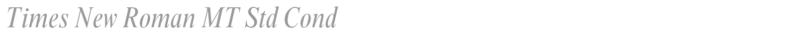 Times New Roman MT Std font preview